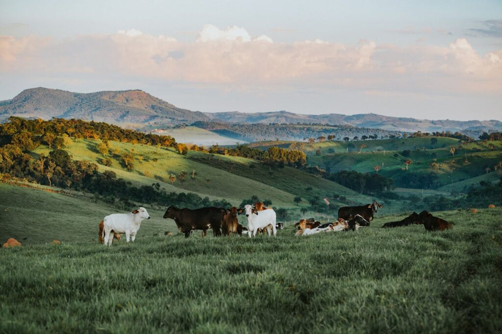 Permaculture Farming: Designing Sustainable Agricultural Systems