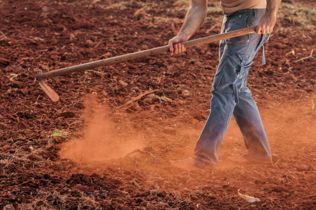 Farm Management: Strategies for Efficient and Sustainable Agriculture