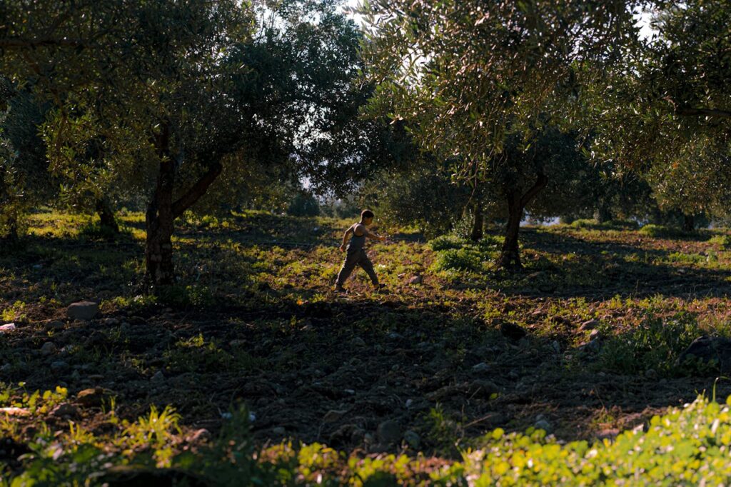 Urban Farming: Transforming City Spaces into Green Oases