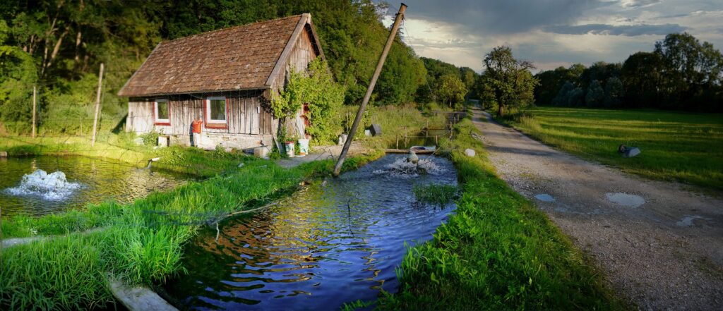 Fish Farming at Home in India: A Practical Guide to Aquaculture